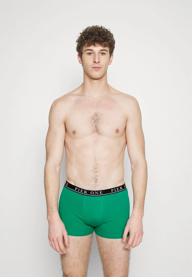 Pier One 5 PACK - Panties - Beige/green/bordeaux